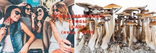 мет Магас