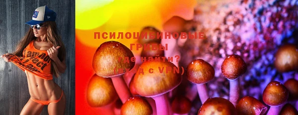 мет Магас