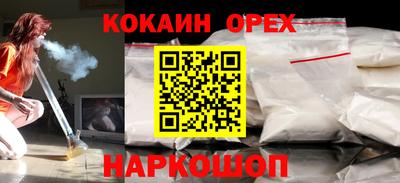 стаф Дубна