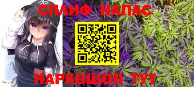 стаф Дубна