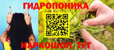 МДПВ Донецк