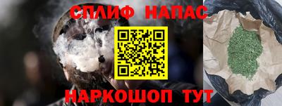 стаф Дубна
