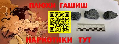 стаф Дубна