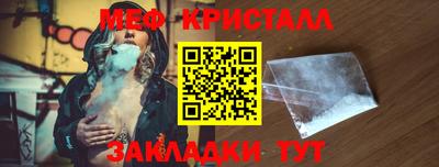 стаф Дубна